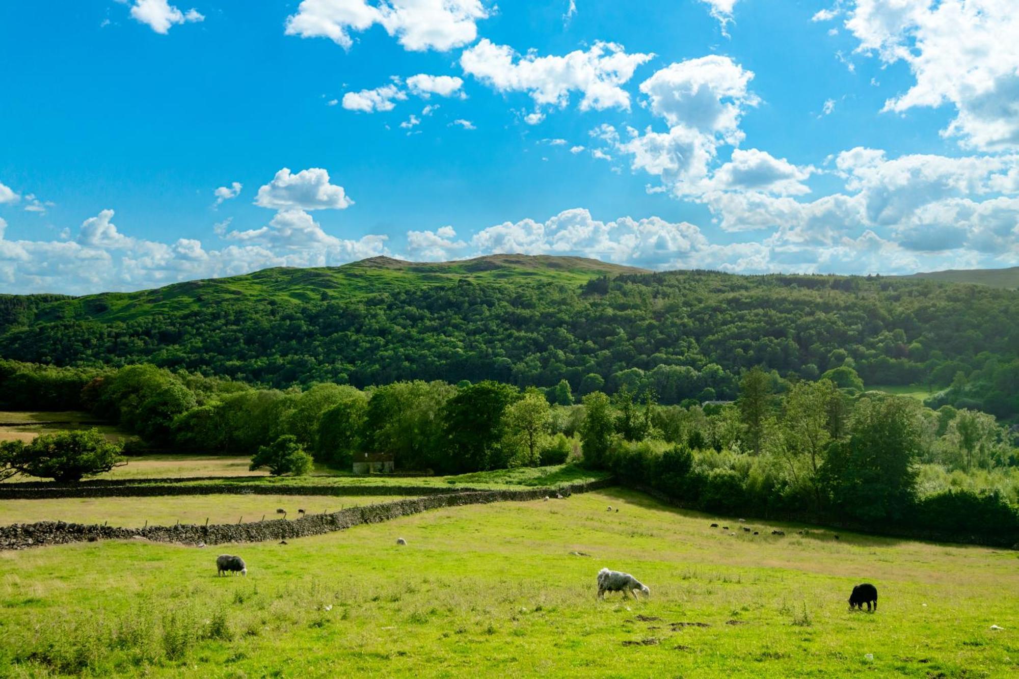 Bridge End Farm Cottages Boot Luaran gambar